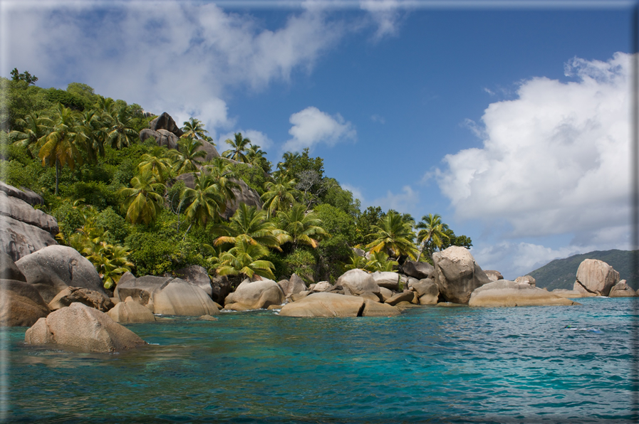 foto Flora e la Fauna alle Seychelles